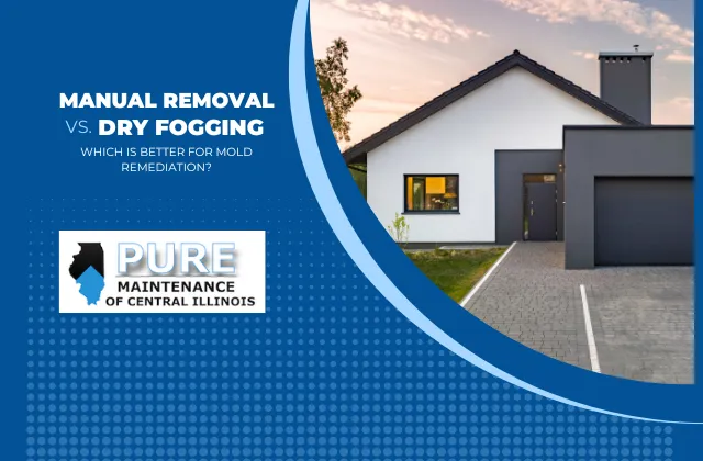Manual Mold Remediation vs. VaPURE Treatment